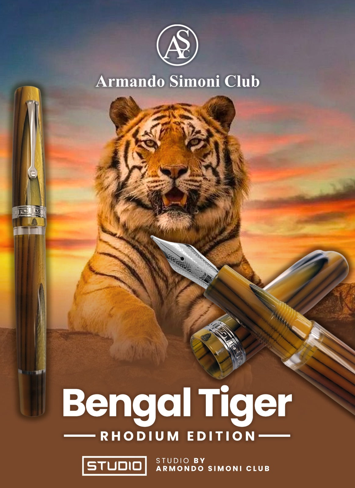 NEW! Armando Simoni Club Bengal Tiger Rhodium Edition - Gold Nib 14K